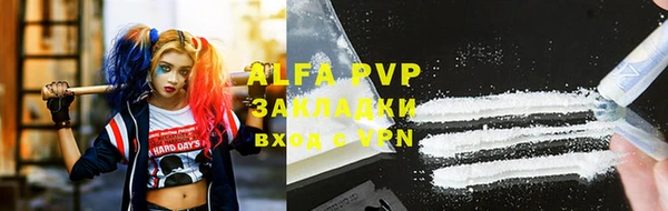 стаф Аркадак