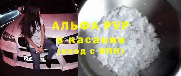 стаф Аркадак