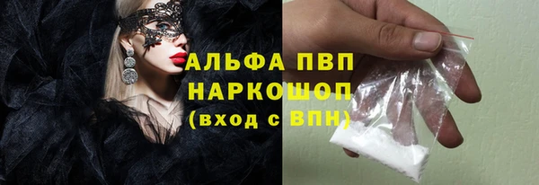 стаф Аркадак