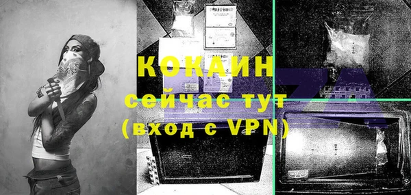 стаф Аркадак