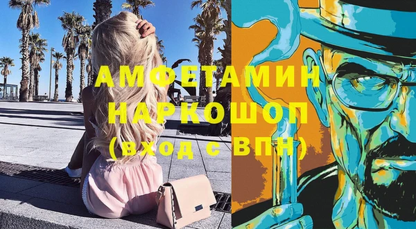 стаф Аркадак