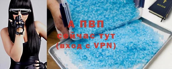 стаф Аркадак