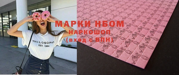 стаф Аркадак