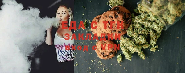 стаф Аркадак