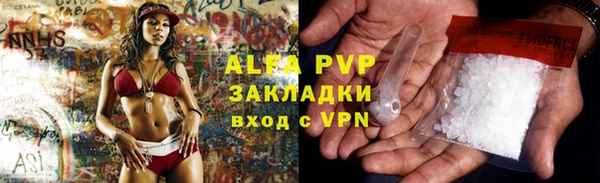 стаф Аркадак