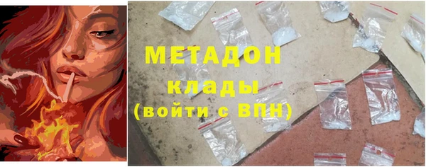 стаф Аркадак