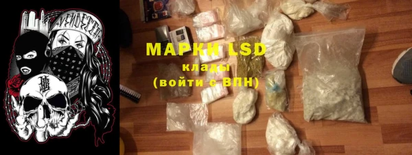 стаф Аркадак